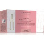 FarmaVita Amethyste Chroma hedvábná regenerační péče pro barvené vlasy 10x10 ml – Hledejceny.cz
