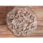 Borovice lesní výhonky (Pinus sylvestris) 50g – Hledejceny.cz