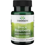 Swanson Full Spectrum Chaga Mushroom 400 mg 60 kapslí – Hledejceny.cz
