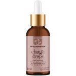 Allnutrition Mushrooms Chaga Drops 30 ml – Hledejceny.cz