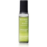 Alfaparf Milano Blends of Many sérum pro suché a poškozené vlasy 12 x 10 ml – Hledejceny.cz