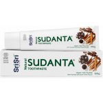 Sudanta ayurvédska bez fluoridu 100 g – Hledejceny.cz