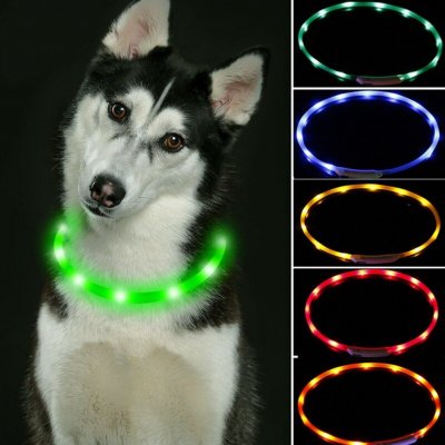 Reedog Easy Light svítící obojek pro psy – Zboží Mobilmania