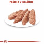 Royal Canin Instinctive Loaf 12 x 85 g – Sleviste.cz