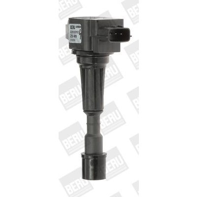 Zapalovací cívka BorgWarner (BERU) ZS489 – Hledejceny.cz