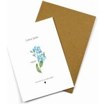 ePipí Blahopřání - Nezapomněnka – Zboží Dáma