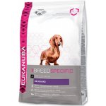 Eukanuba Dachshund Jezevčík 2,5 kg – Zboží Mobilmania