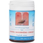 TCM Herbs Klenba malebného chrámu 100 tablet – Hledejceny.cz