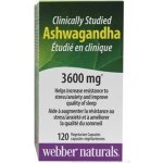 Webber Naturals Ashwagandha 120 kapslí – Hledejceny.cz