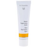 Dr. Hauschka Růžový krém light 30 ml – Zbozi.Blesk.cz