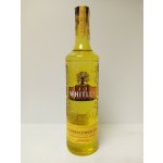 J.J Whitley Elderflower Gin 38,6% 0,7 l (holá láhev) – Sleviste.cz