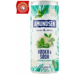 Amundsen + Soda bezinka 6% 0,25 l (plech) – Zboží Dáma