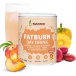 Blendea Fatburn Day Drink 100 g – Zboží Dáma