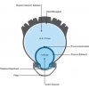 Duše Schwalbe Pro Core MTB systém FV