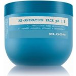 Elgon intensivní regenerace Re-Animation Pack 500 ml – Hledejceny.cz