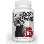 5% Rich Piana POST GEAR PCT 240 kapslí – Hledejceny.cz