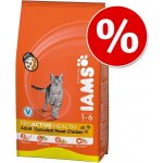 Iams ProActive Health Adult Original kuře 3 kg – Hledejceny.cz