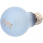 Repti Planet Daylight Neodymium 25 W – Zboží Dáma