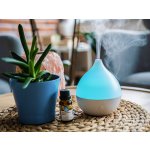 Bewit Aroma Difuzér Friend 120 ml – Zboží Dáma