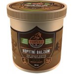 Topvet Kopytní balzám pro zdravé kopyto 500ml – Zboží Dáma Topvet Kopytní balzám pro zdravé kopyto 500ml – Zboží Dáma