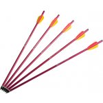 Ek ARCHERY HalfMoon 20″ 5 ks – Zboží Dáma