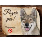 Sport hobby Cedulka Československý vlčák Pozor pes zákaz 15 x 11 cm – Zboží Mobilmania