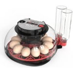 Agrofortel Plně automatická líheň WONEGG M12 pro různé druhy drůbeže – Hledejceny.cz