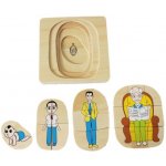 Montessori Životní vývoj muže – Sleviste.cz