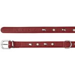 Trixie obojek ACTIVE kožený – Zboží Dáma