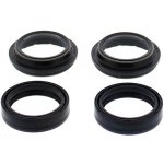 ALL BALLS sada olejových a prachových těsnění BMW R1200GSW 13-18, R1200RTW 13-18, R1250GS 19-23, R1250GS ADV 19-24, R1250RT 19-24, (55-155+57-169) | Zboží Auto