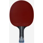 Donic Carbon Xtreme – Zboží Dáma