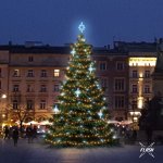 DECOLED LED světelná sada na vánoční stromy vysoké 9-11 m teplá bílá s Flash ledové dekory DZ113S3 – Hledejceny.cz