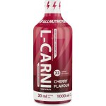 AllNutrition L-Carni 1000 ml – Zbozi.Blesk.cz