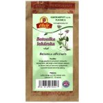 Agrokarpaty BETONIKA LÉKAŘSKÁ bylinný čaj 30 g – Zboží Dáma