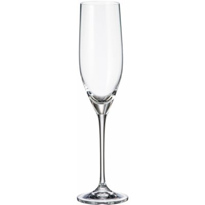 Crystalite Bohemia sklenice na šampaňské Sitta 6 x 240 ml – Zboží Dáma Crystalite Bohemia sklenice na šampaňské Sitta 6 x 240 ml – Zboží Dáma