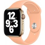 Apple Watch MJK63ZM/A – Sleviste.cz