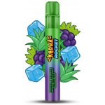 Kurwa Rocket Purple Grape Aloe Ice 20 mg 1 200 potahů – Zboží Mobilmania