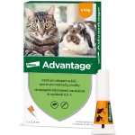 Advantage Spot-on pro malé kočky a králíky 40 mg 1 x 0,4 ml – HobbyKompas.cz