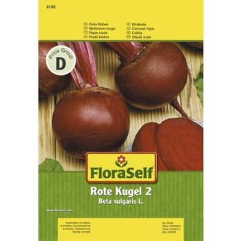 Červená řepa "Rote Kugel 2" semena FloraSelf®