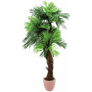 Areca palma s lýkovým kmenem 170cm