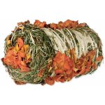 Trixie Pochoutka Seno Dýně Mrkev 0,2 kg – Zbozi.Blesk.cz