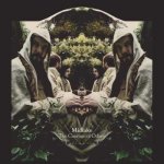 Midlake: Courage Of Others 2 LP – Hledejceny.cz