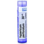 HYPERICUM PERFORATUM POR 30CH GRA 1X4G – Hledejceny.cz