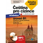 Čeština pro cizince úroveň B1 - Kateřina Kopicová, Marie Boccou Kestřánková, Gabriela Šnaidaufová