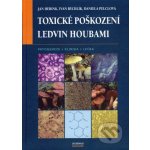 Toxické poškození ledvin houbami, Patogeneze, klinika, léčba – Hledejceny.cz