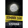 Elektronická kniha Studna - Dominik Dán