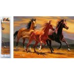 Norimpex Diamantové malování Tři hřebci 80 x 40 cm – Hledejceny.cz