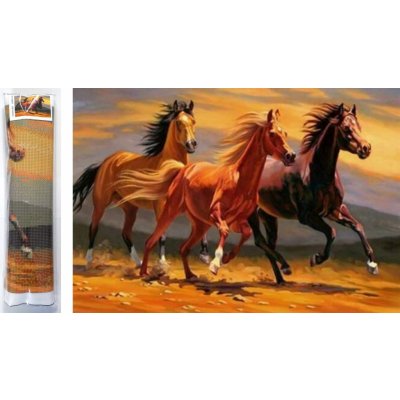 Norimpex Diamantové malování Tři hřebci 80 x 40 cm – Hledejceny.cz