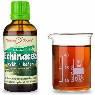 Bylinné kapky Echinacea třapatka kvetoucí nať + kořen bylinné kapky tinktura 50 ml – Hledejceny.cz