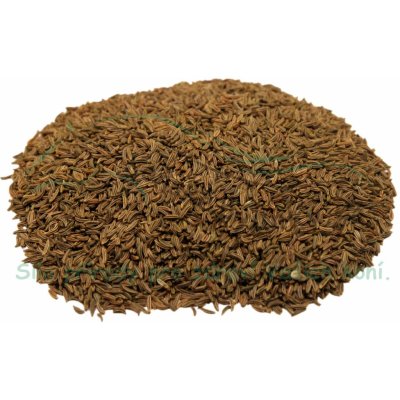Koňské bylinky Kmín kořenný Carum carvi 1 kg – Hledejceny.cz